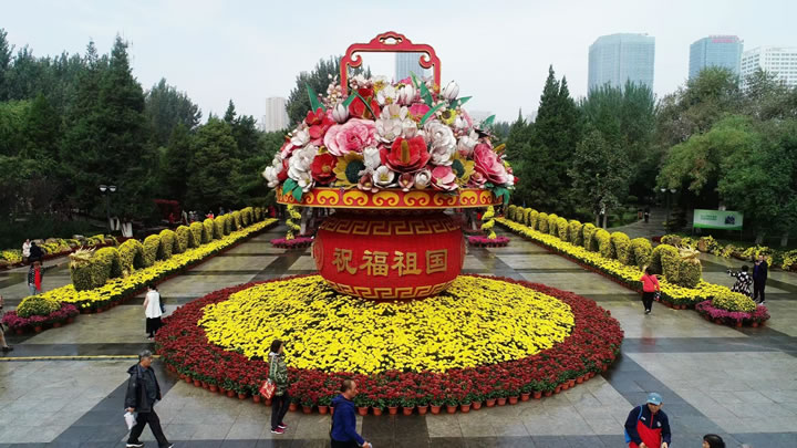 仿真五色草造型-花篮