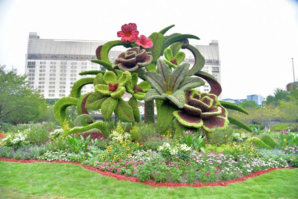 五色草造型-繁花锦绣