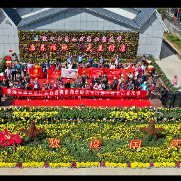 伏牛山第二届高山菊花节